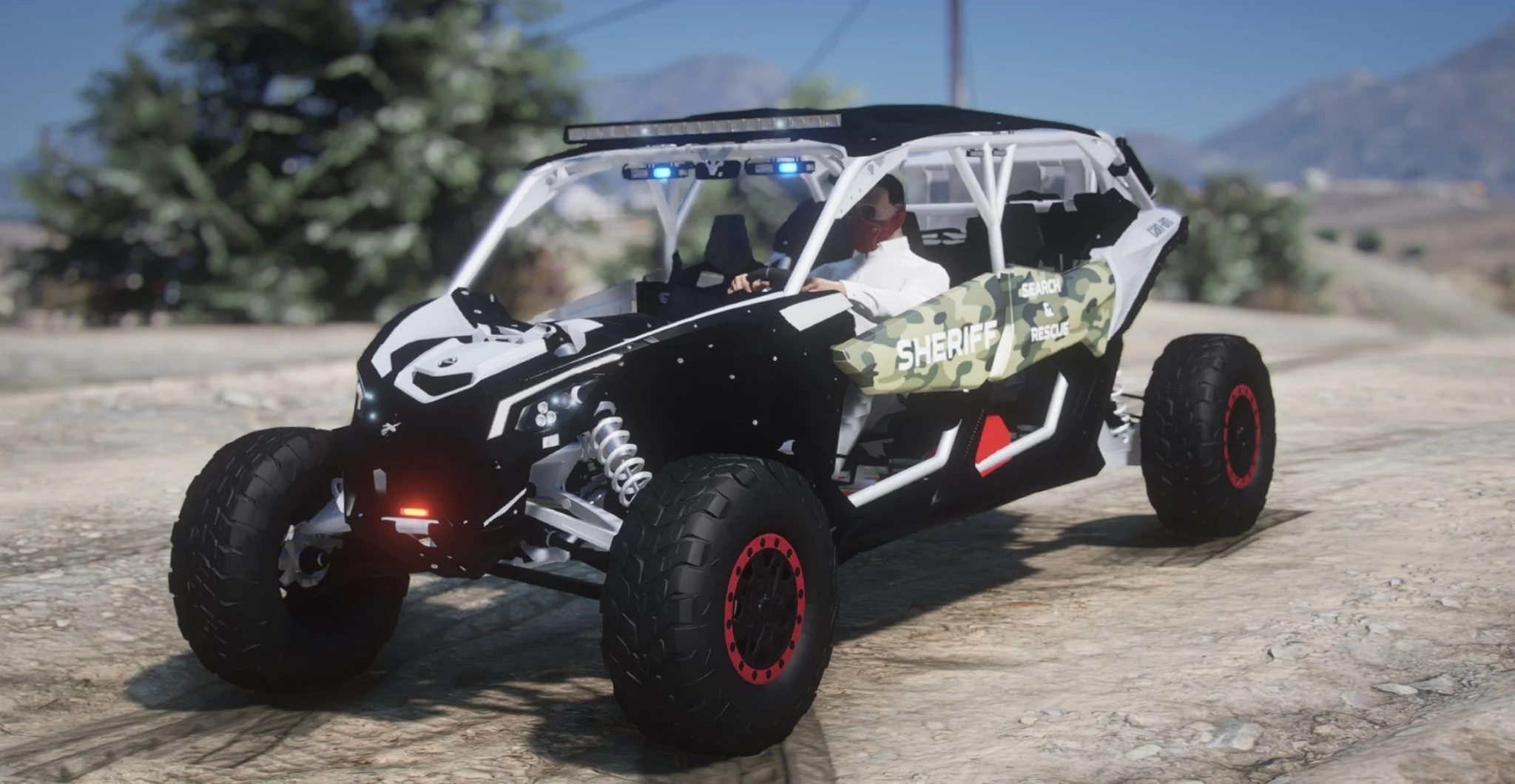 RZR/Can-am 10 Car Pack - Image 6